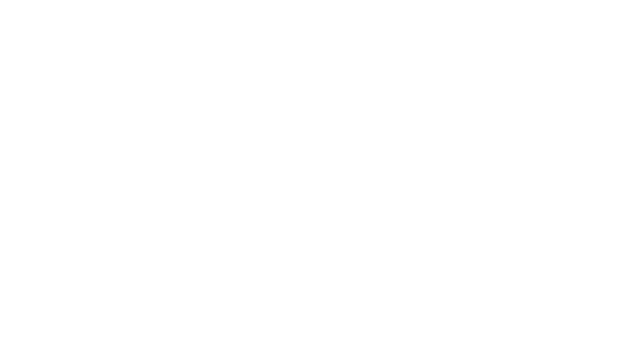 pleinvrees-light-900px